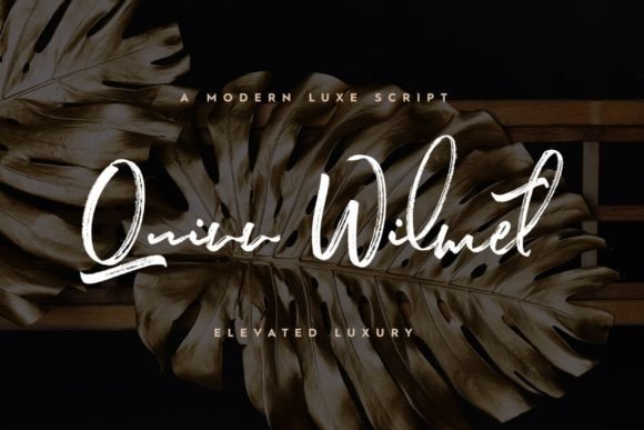 Quinn Wilmet Typeface for Campaign Design